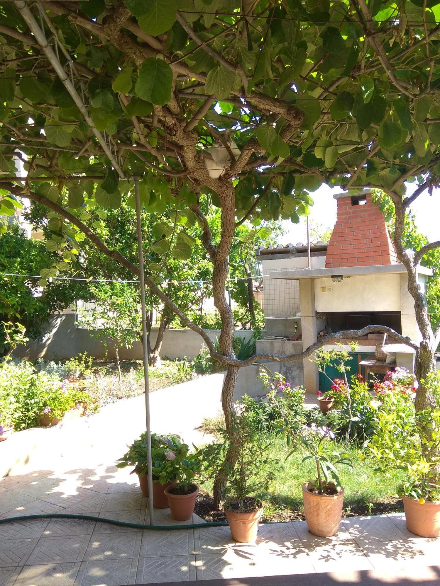Villa Katarina Losinj Island 木洛希尼 外观 照片