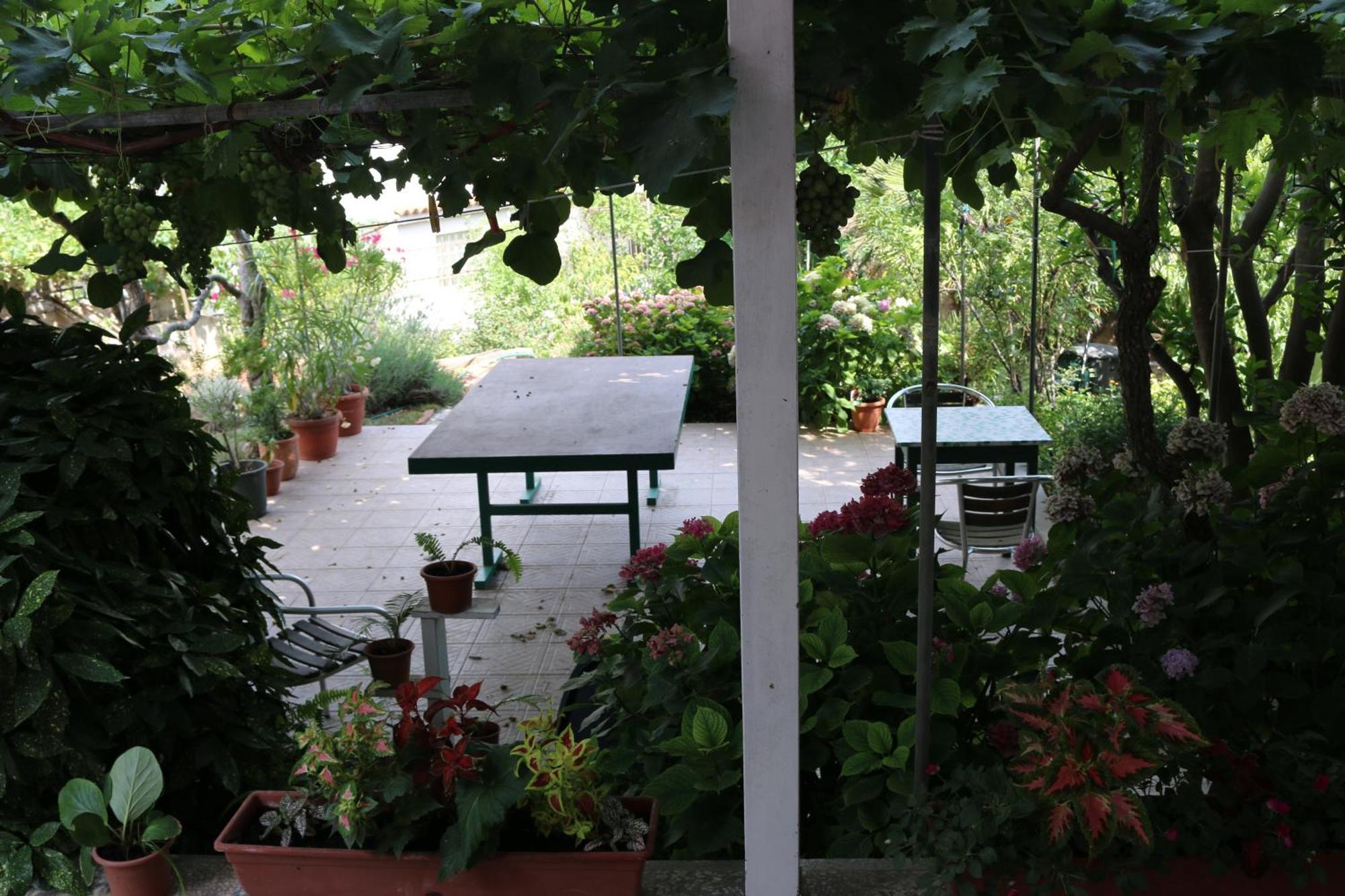 Villa Katarina Losinj Island 木洛希尼 外观 照片
